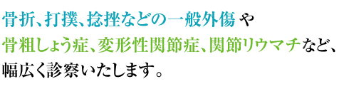 骨折、打撲、捻挫などの一般外傷や骨粗しょう症、変形性関節症、関節リウマチなど、幅広く診察いたします。